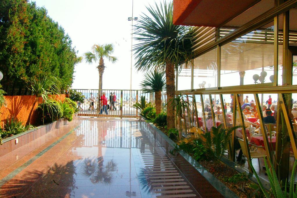 Apartamentos Torre Don Vicente - Arca Rent Benidorm Bagian luar foto
